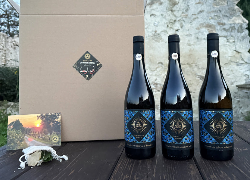 Gift Box EXPERT - 3 Bottles DAR – Divinalux Winery