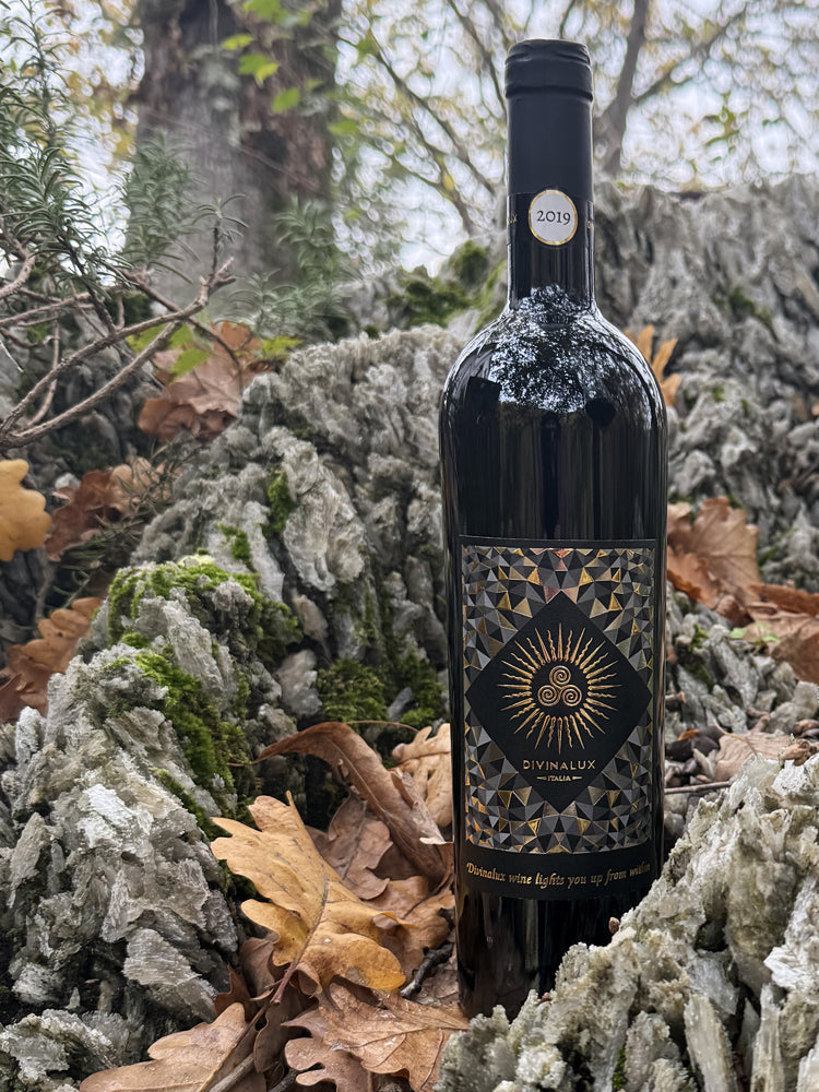 Romagna Sangiovese Superiore | Victores 2019 – Divinalux Winery