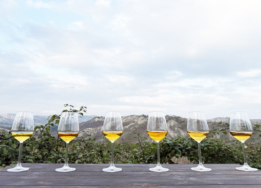 Gift Box EXPERT - 6 Bottles DAR