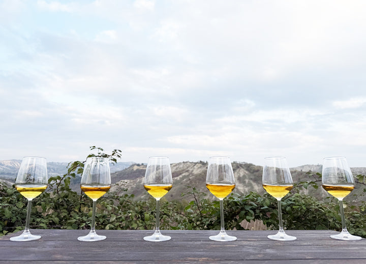 Gift Box EXPERT - 6 Bottles DAR