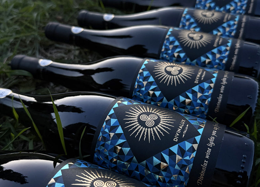 Gift Box EXPERT - 6 Bottles DAR