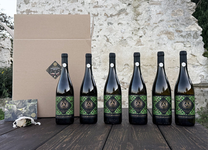 Gift Box EXPERT - 6 Bottles HILLA