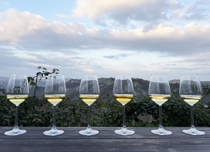 Gift Box EXPERT - 6 Bottles HILLA