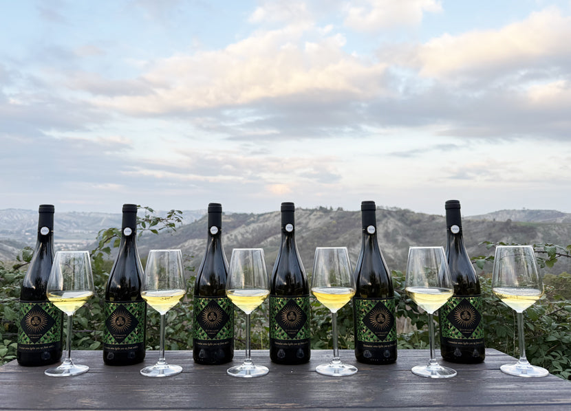 Gift Box EXPERT - 6 Bottles HILLA