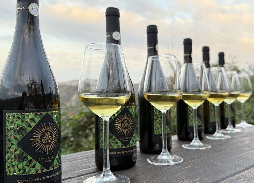 Gift Box EXPERT - 6 Bottles HILLA