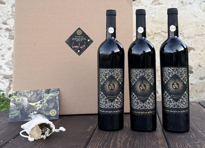 Gift Box EXPERT - 3 Bottles VICTORES