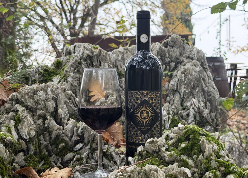 Gift Box EXPERT - 6 Bottles VICTORES