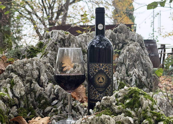 Gift Box EXPERT - 6 Bottles VICTORES