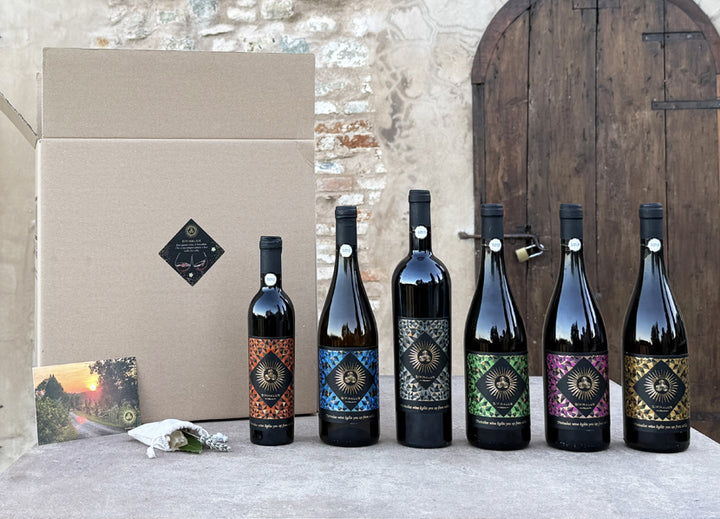 Gift Box LIGHT - 6 bottiglie HDNLVL