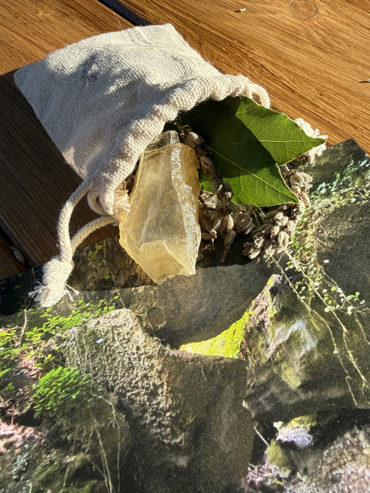 Gift Box HOST - 6 Bottles - HDNLVL