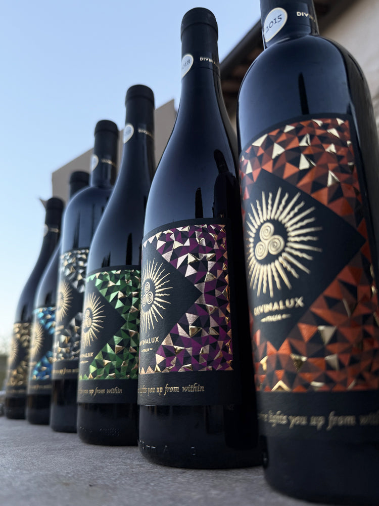 Gift Box LIGHT - 6 bottiglie HDNLVL