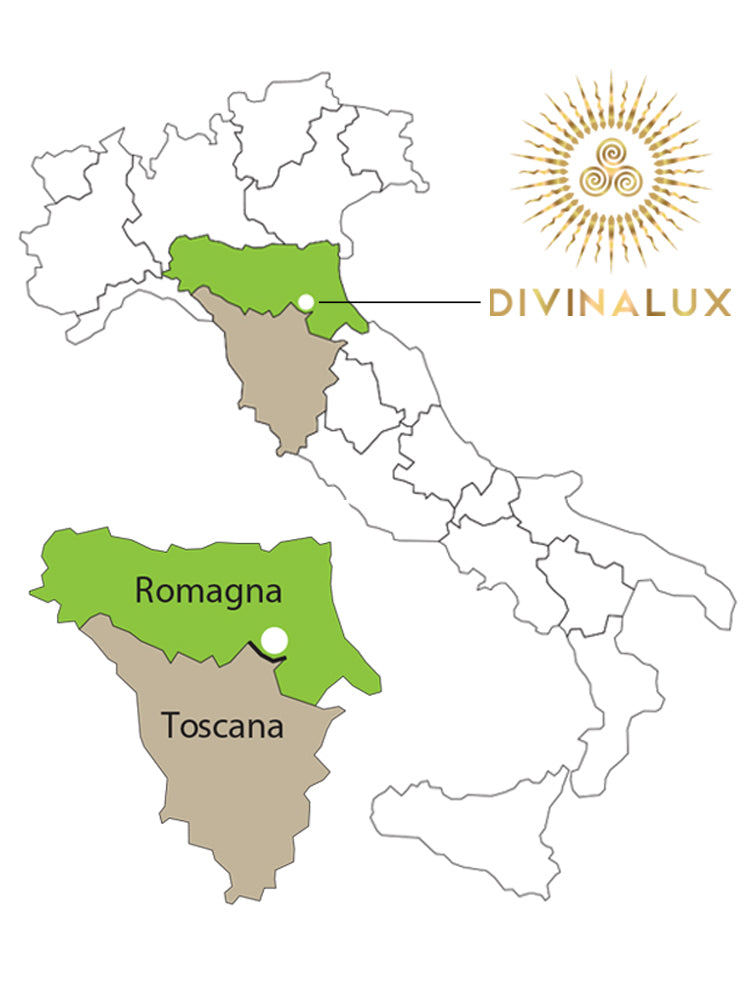 Gift Box HOST - 6 Bottles - HDNLVL